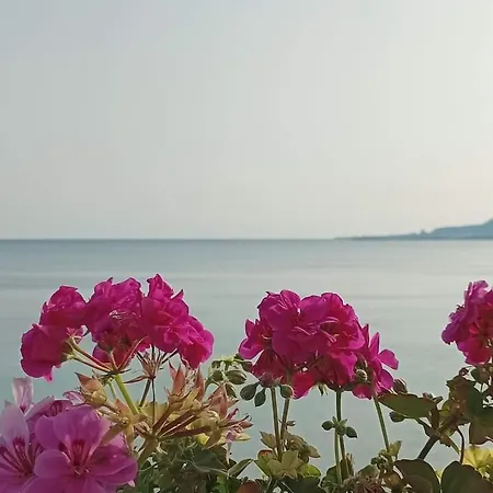 Casa Al Mare Trapani